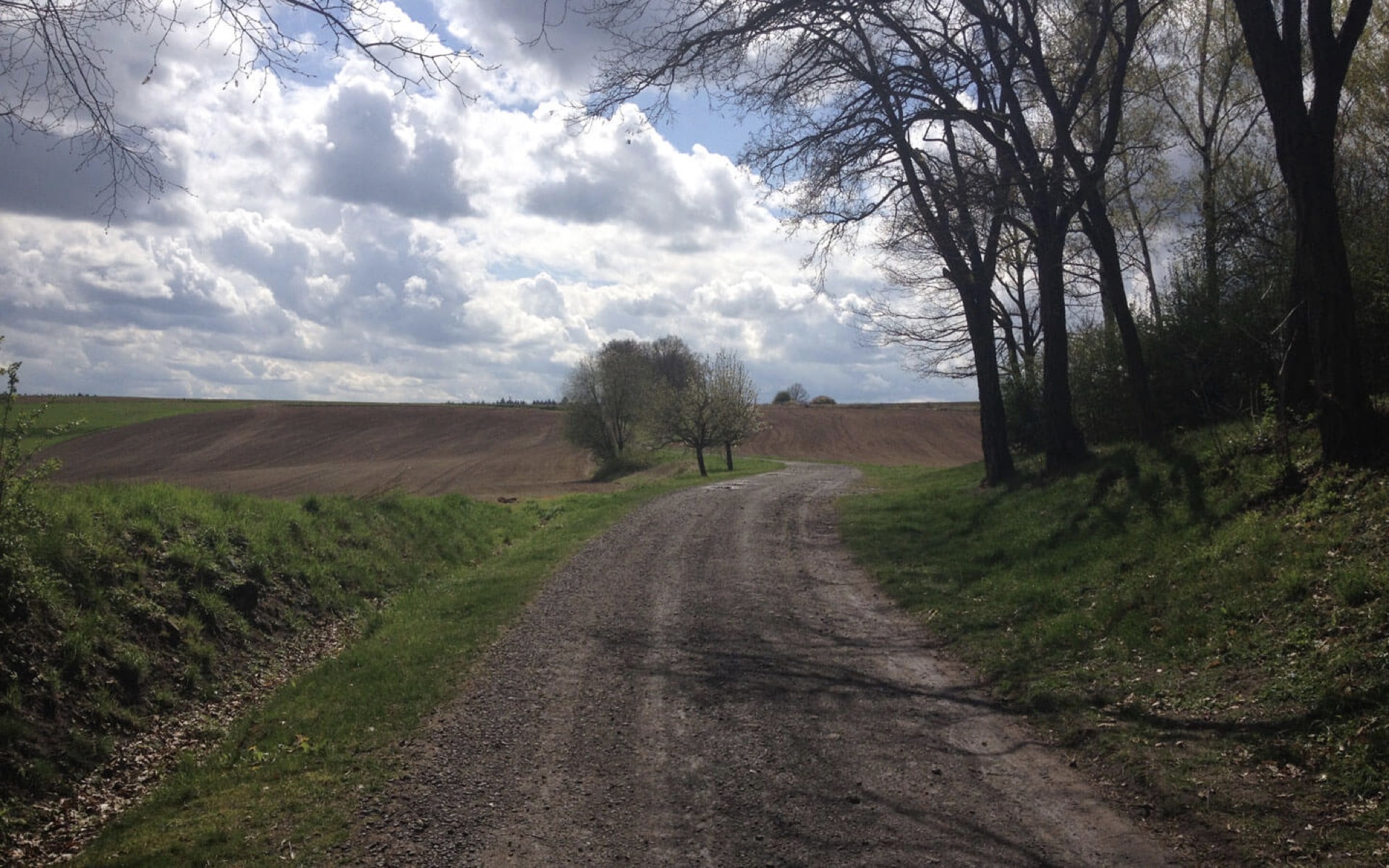 placeholder image-sq